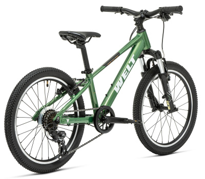 Детский велосипед Welt Brave 1.0 20 V Calm Green  от магазина Адреналин