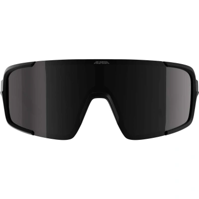 Очки солнцезащитные ALPINA Lumin Black Matt/Black Cat.3 от магазина Адреналин